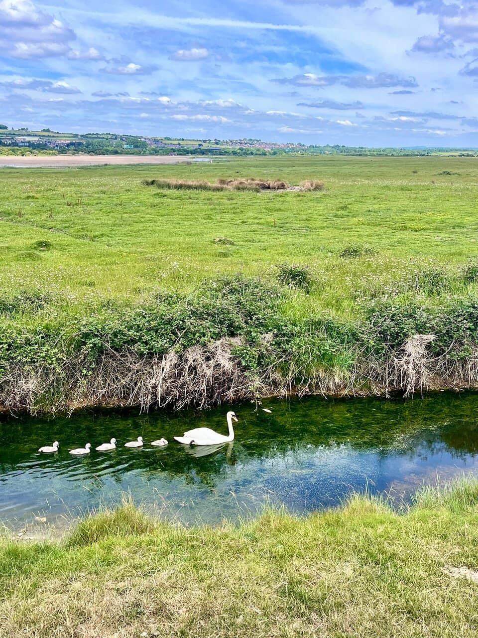 Scenic Walking Trails
