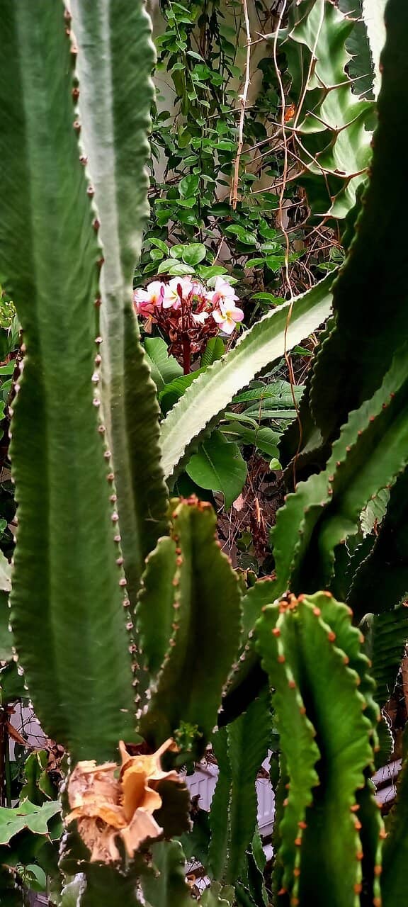 Unexpected Bird Encounters