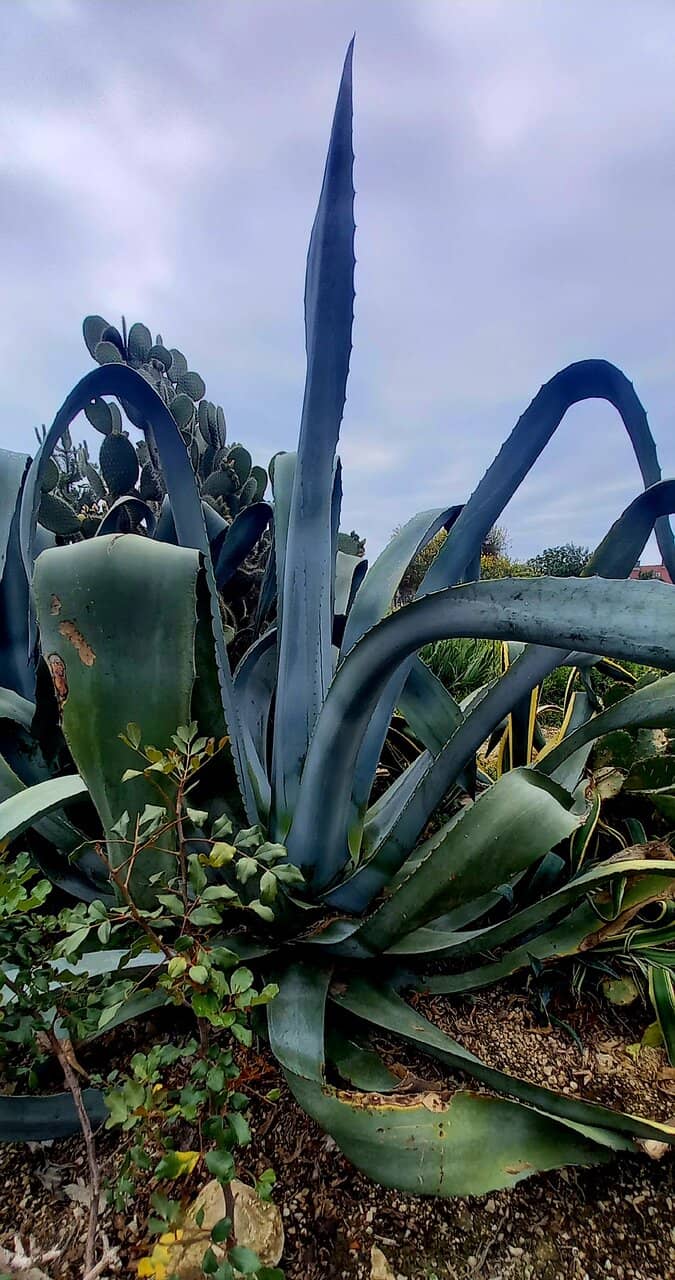 Historic Eiffel Structure