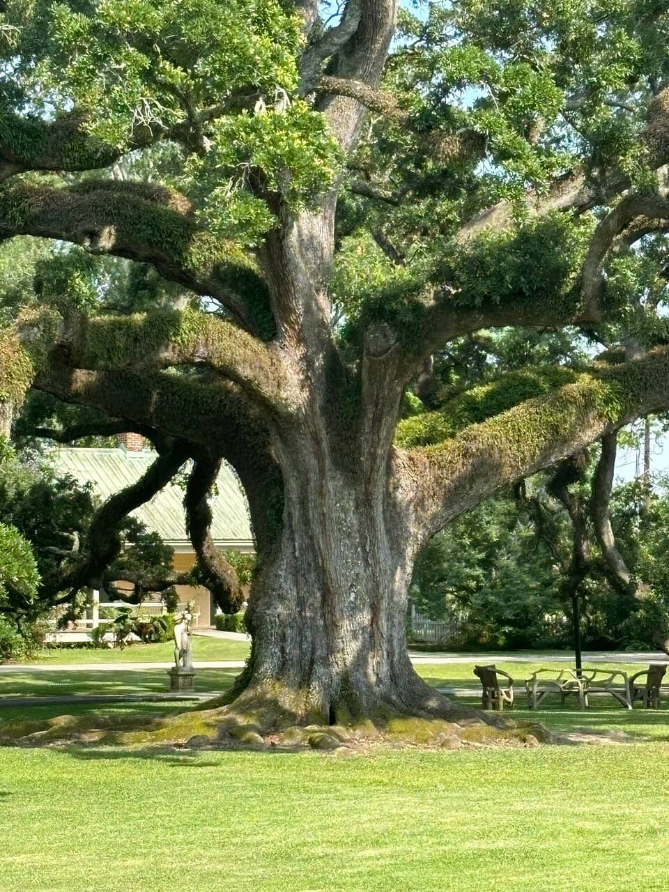 The Grounds and Gardens
