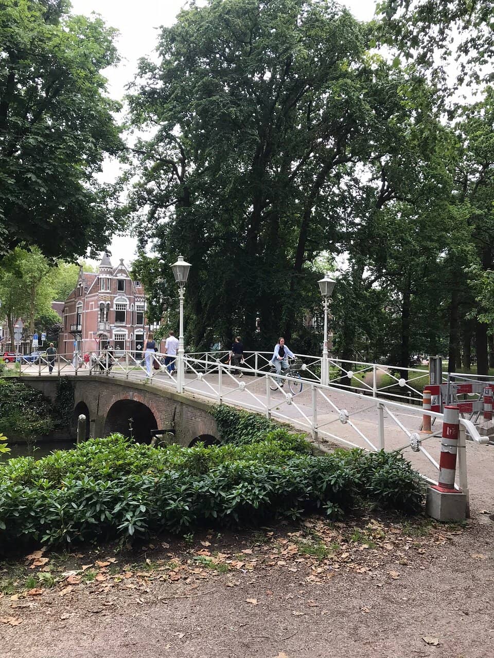 The Central Canal