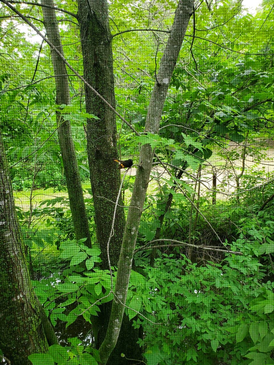 Modern Playground Fun