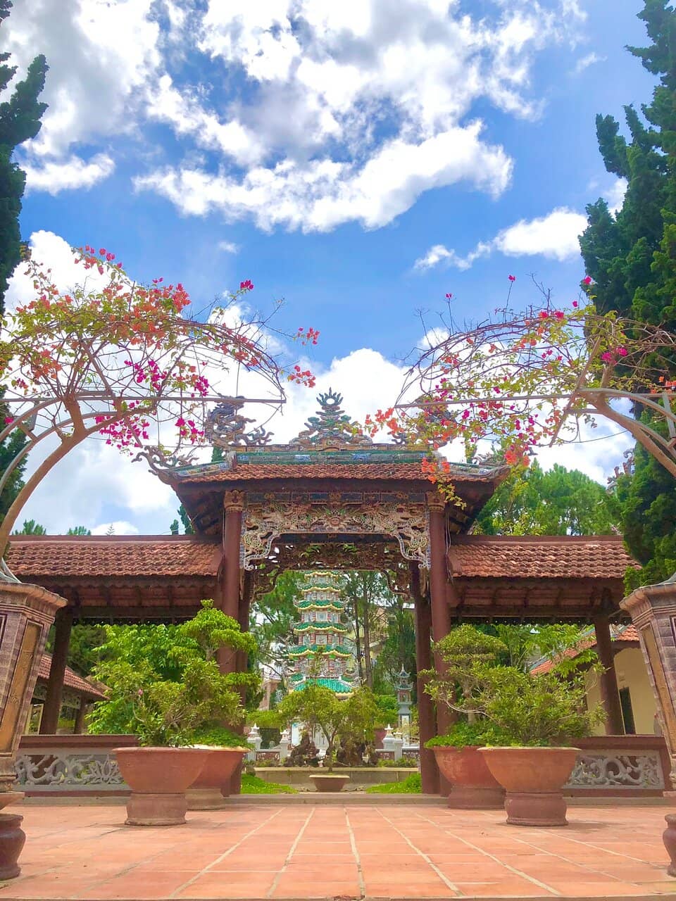 Serene Garden Paths