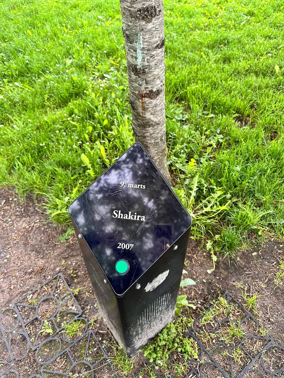 Unique Park Ambiance