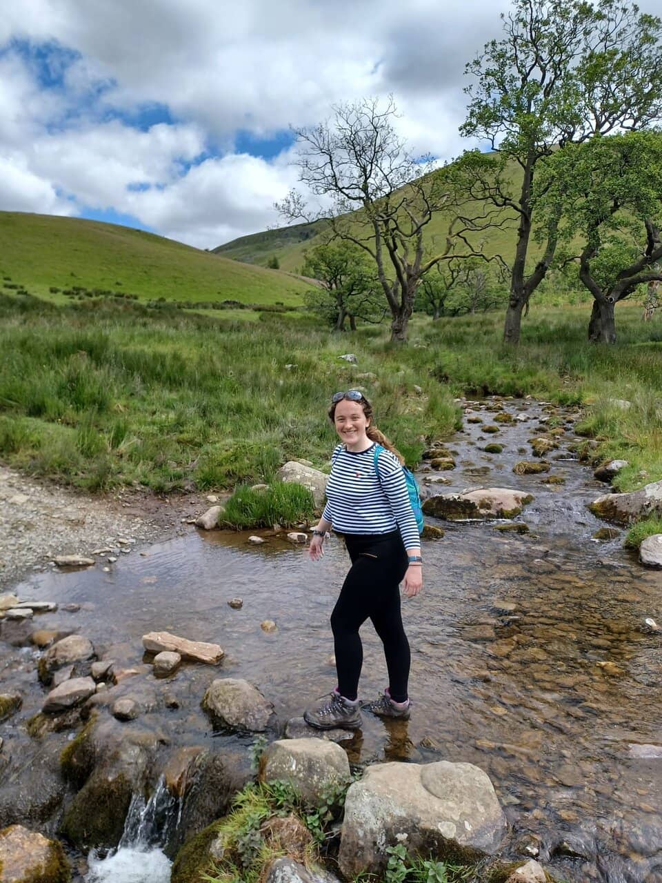 Panoramic Pennine Vistas