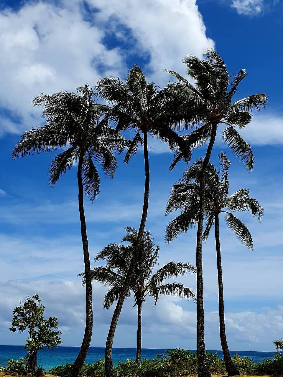 Tunnels Beach (Makua)