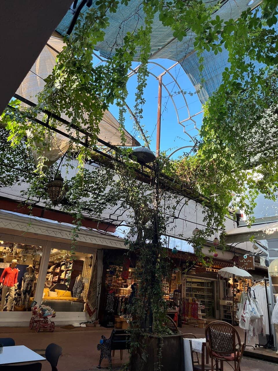 Culinary Exploration