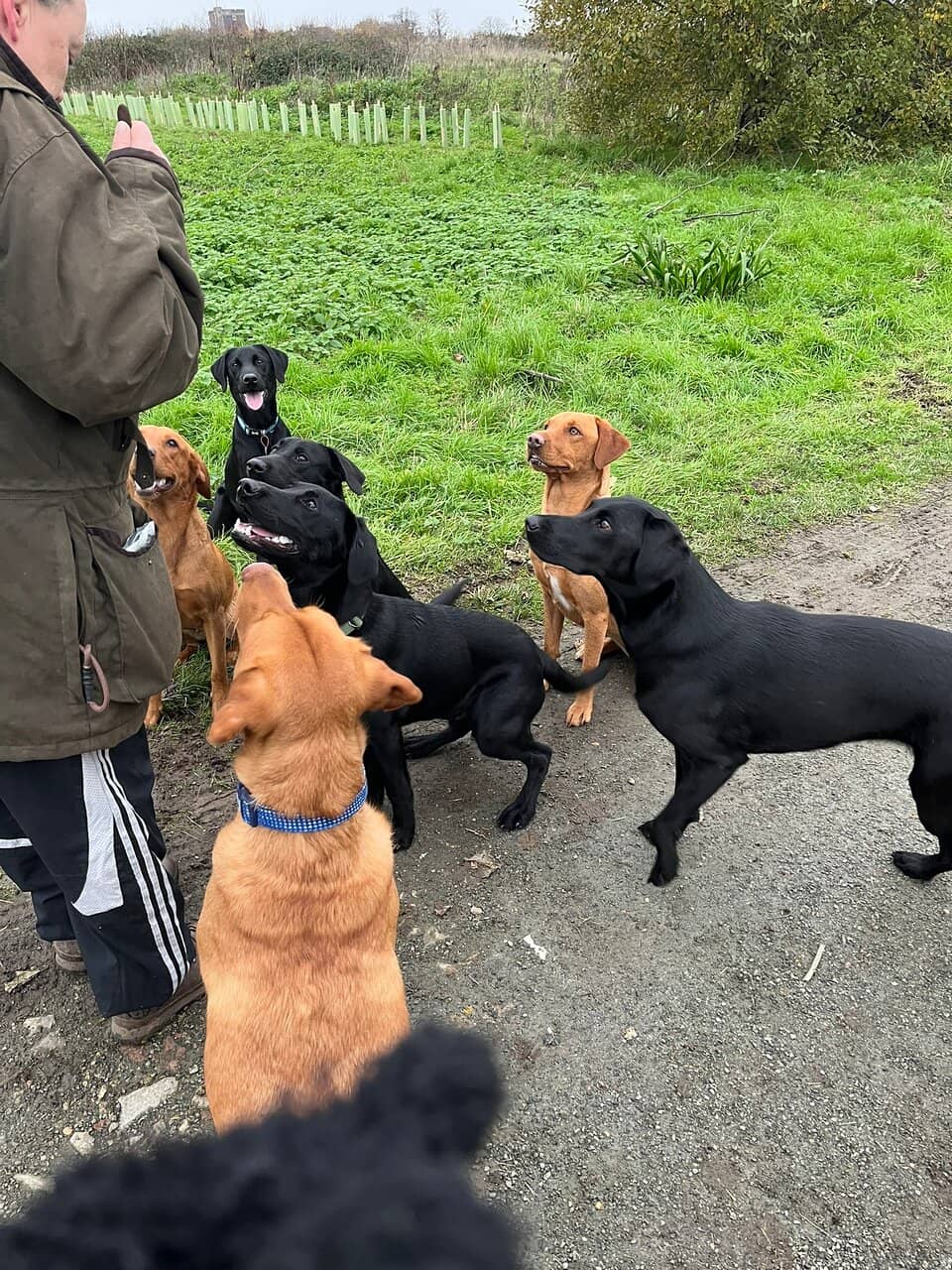 Scenic Nature Trails