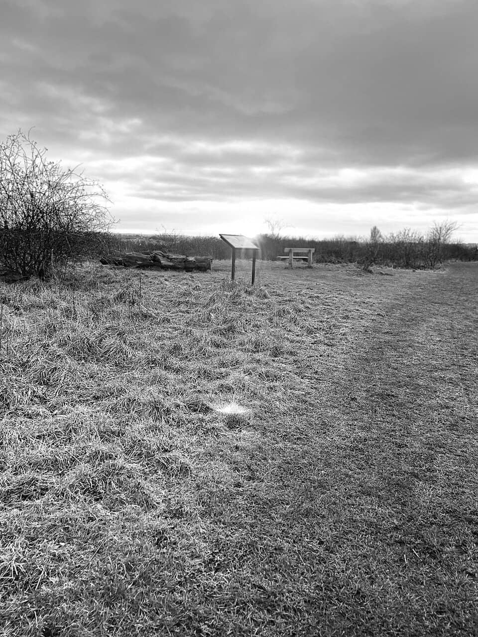 Adventure Play Area