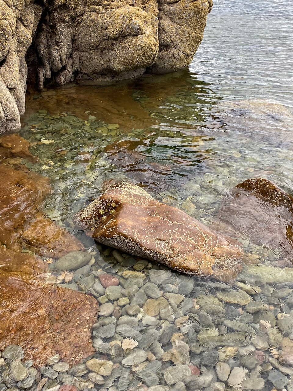 Vertical photo
