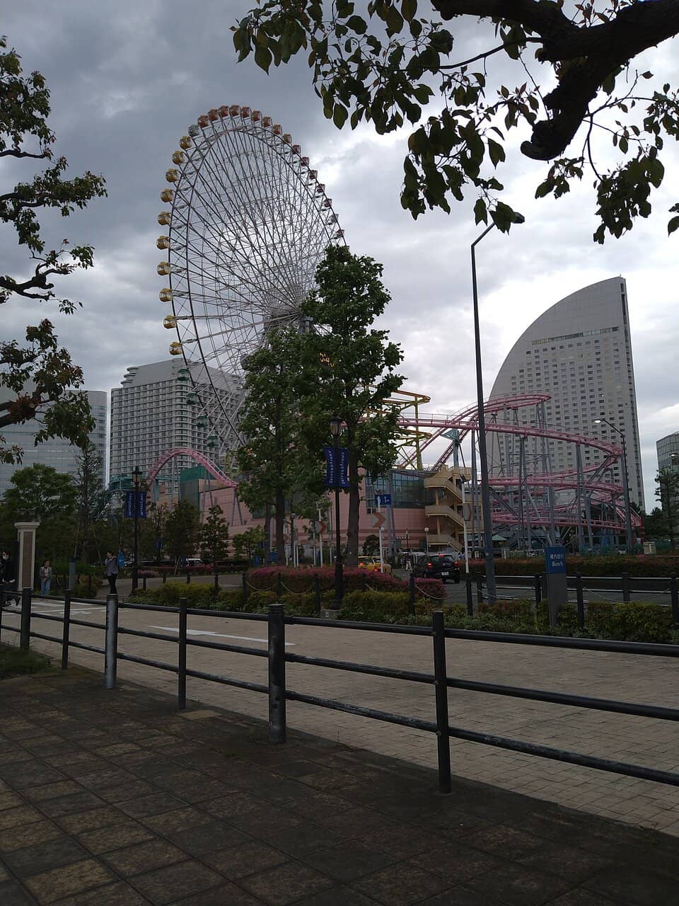 Vertical photo