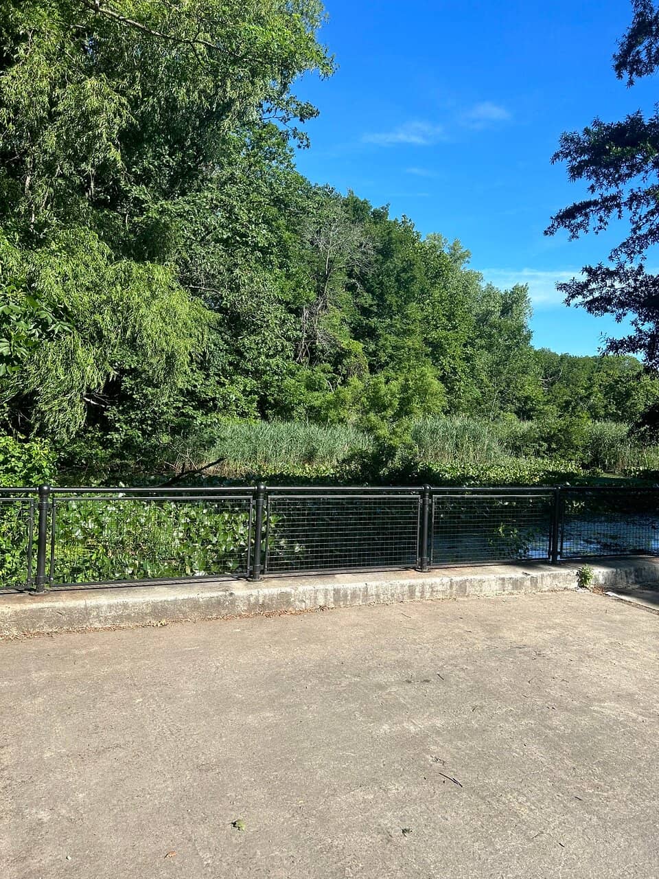 Extensive Trail Network