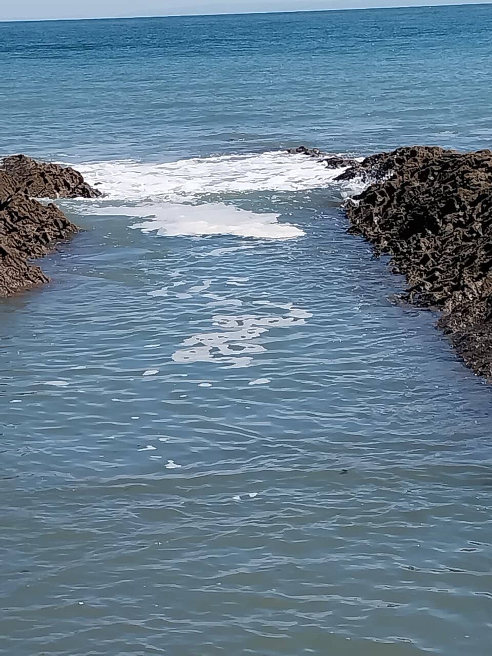 Vertical photo