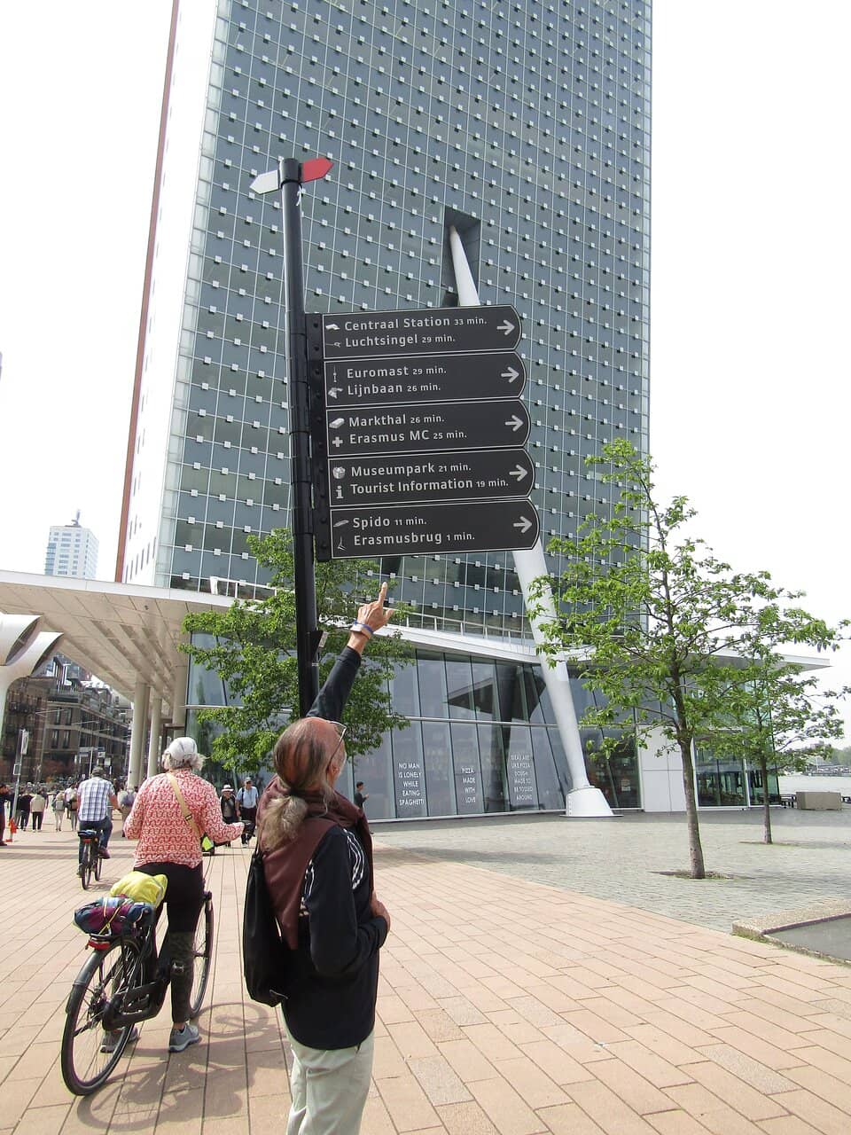 Erasmus Bridge Views