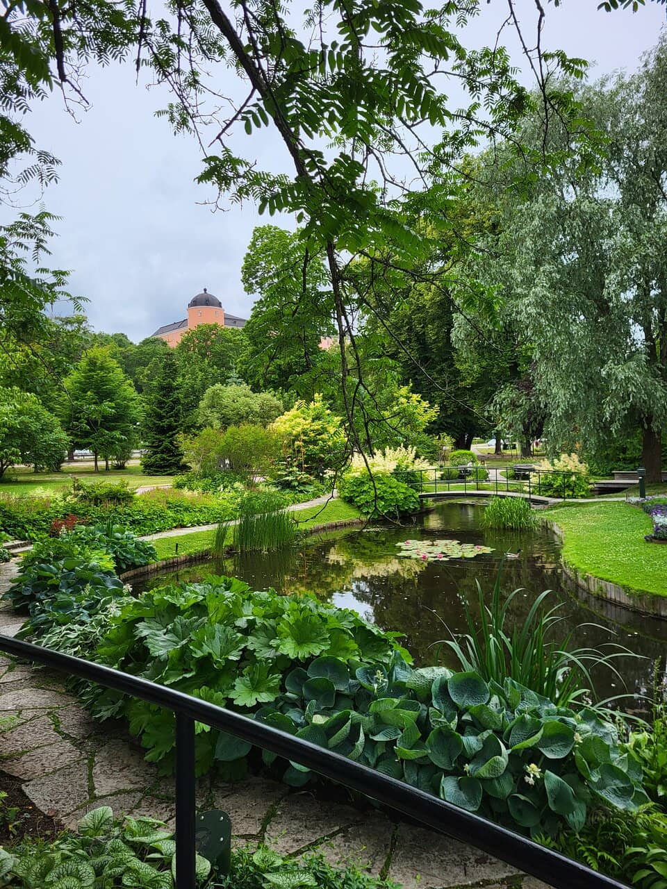 Vibrant Flower Displays