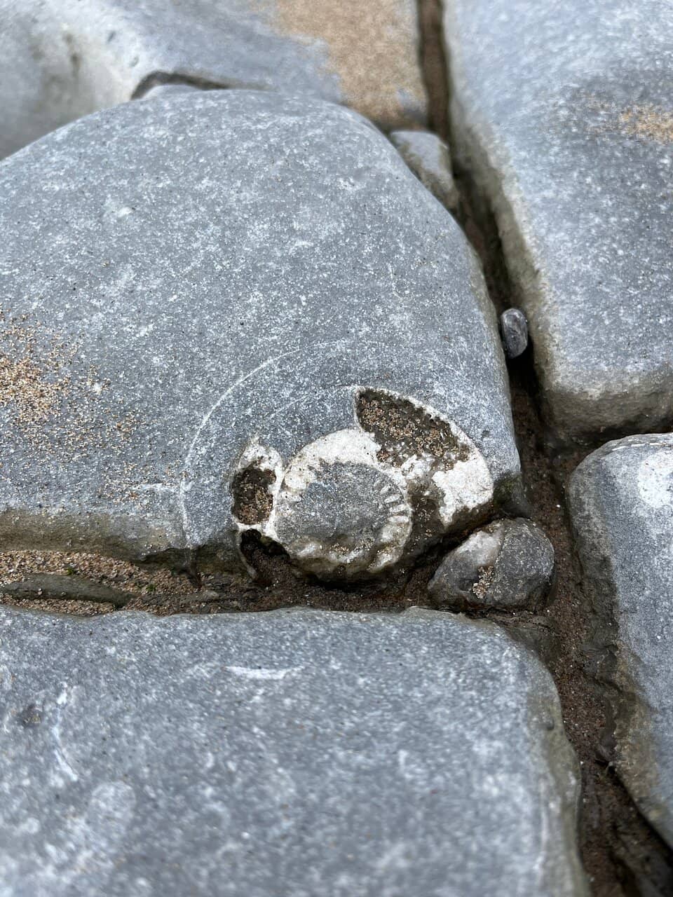 Vertical photo