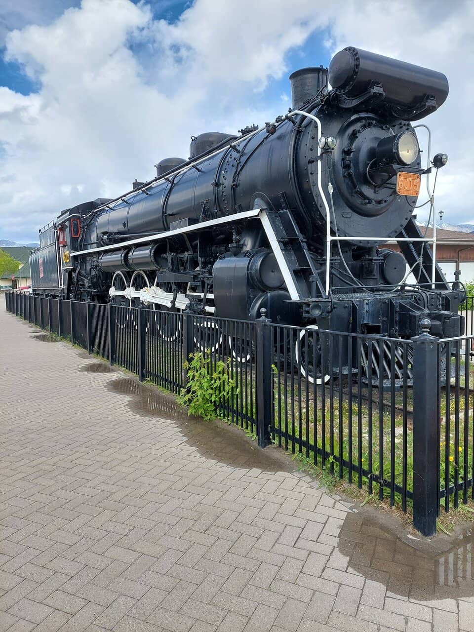 Rocky Mountain Vistas