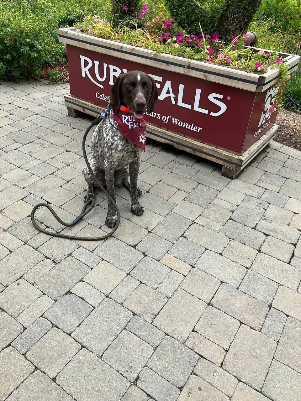 Stunning Cave Formations