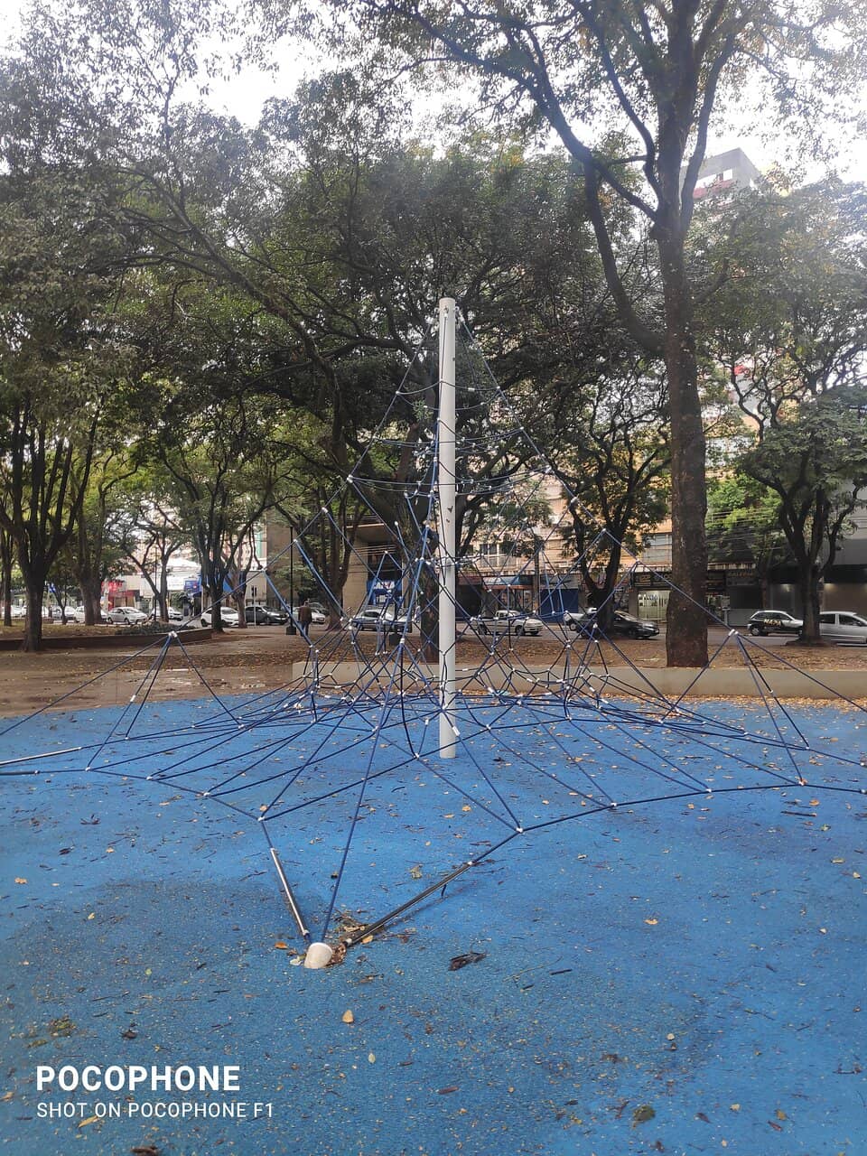 Family Gathering Spot