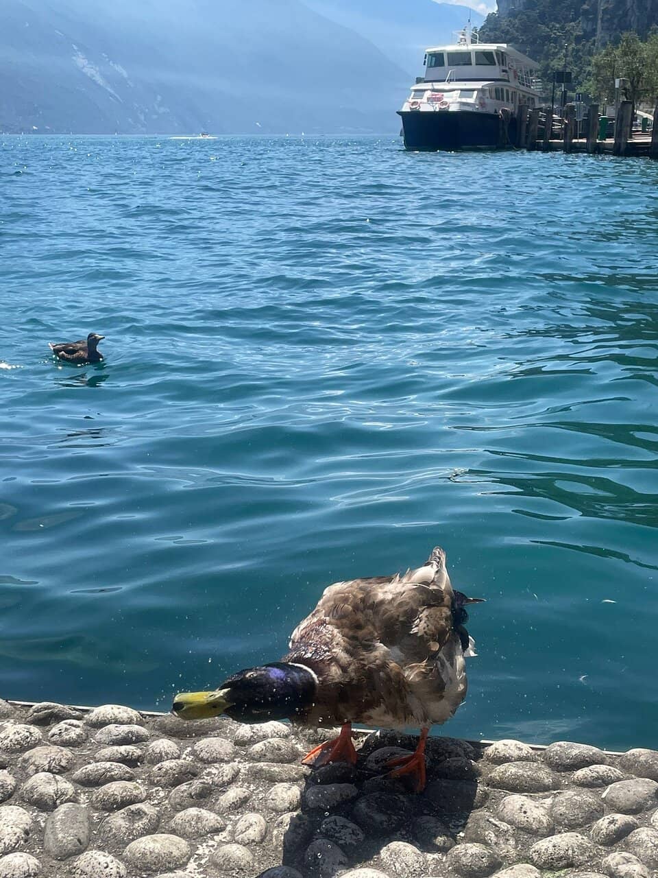 Lake Garda Views
