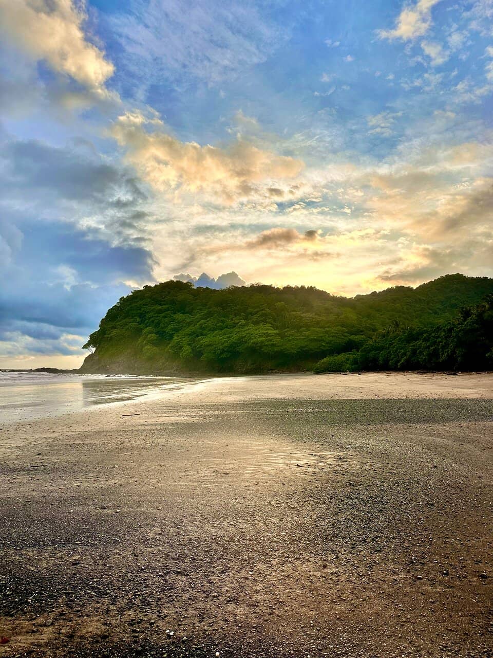 Surfing Opportunities