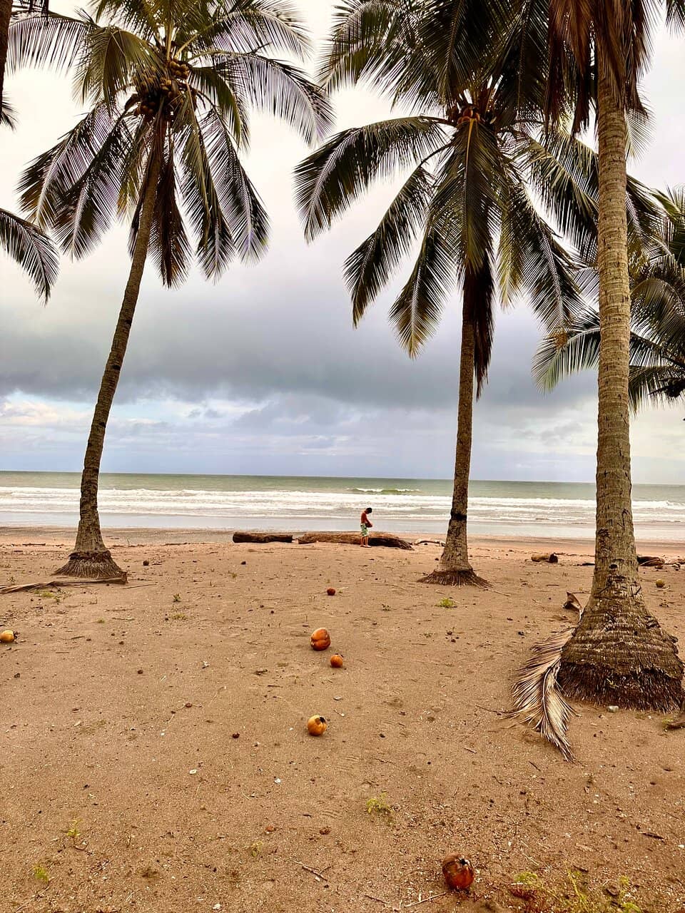 Coconut Water Refreshments