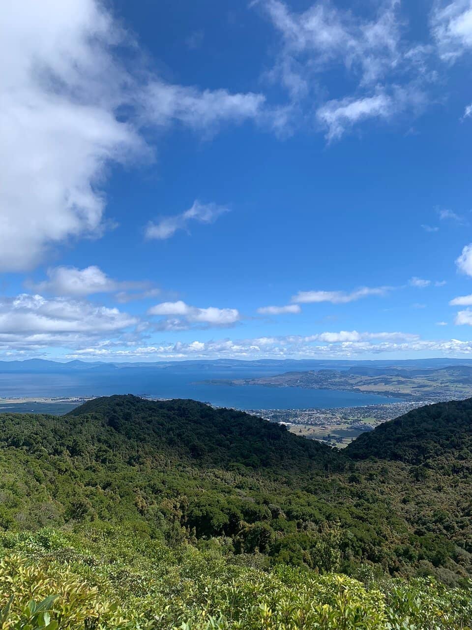 Native Bush Walk