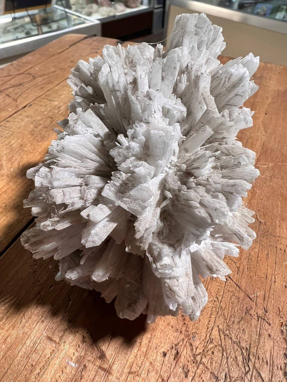 Ice Age Fossils & Minerals