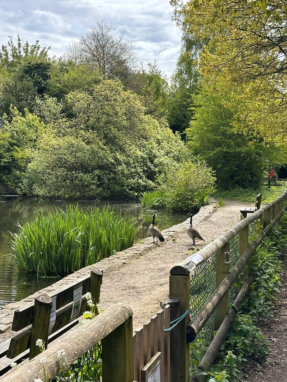 Birdwatching Haven