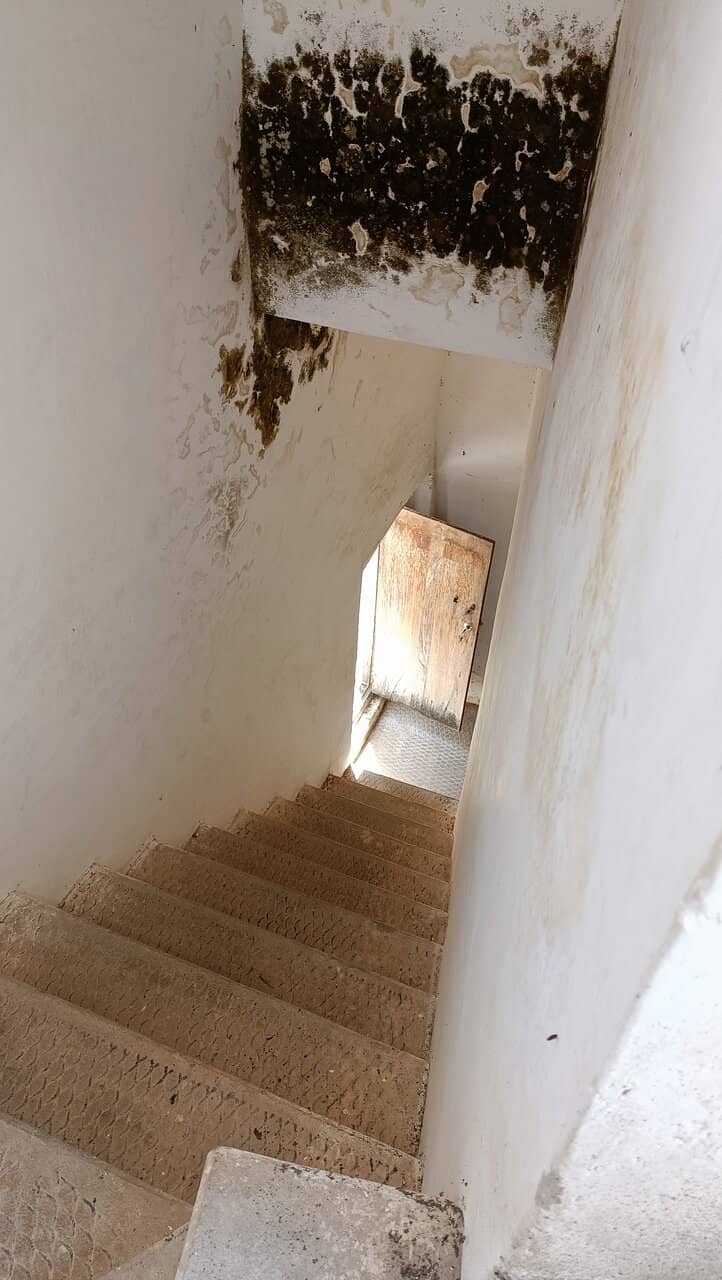 Architectural Heritage