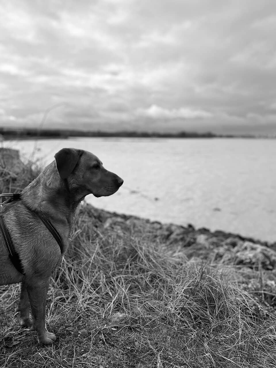 Wildlife Watching Spots