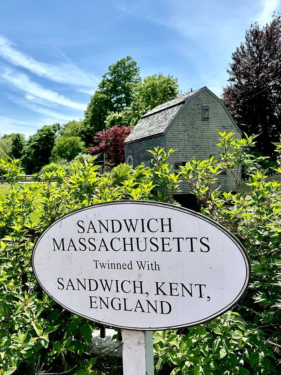 Freshly Ground Corn Meal