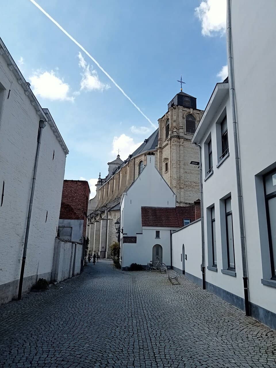 Vertical photo