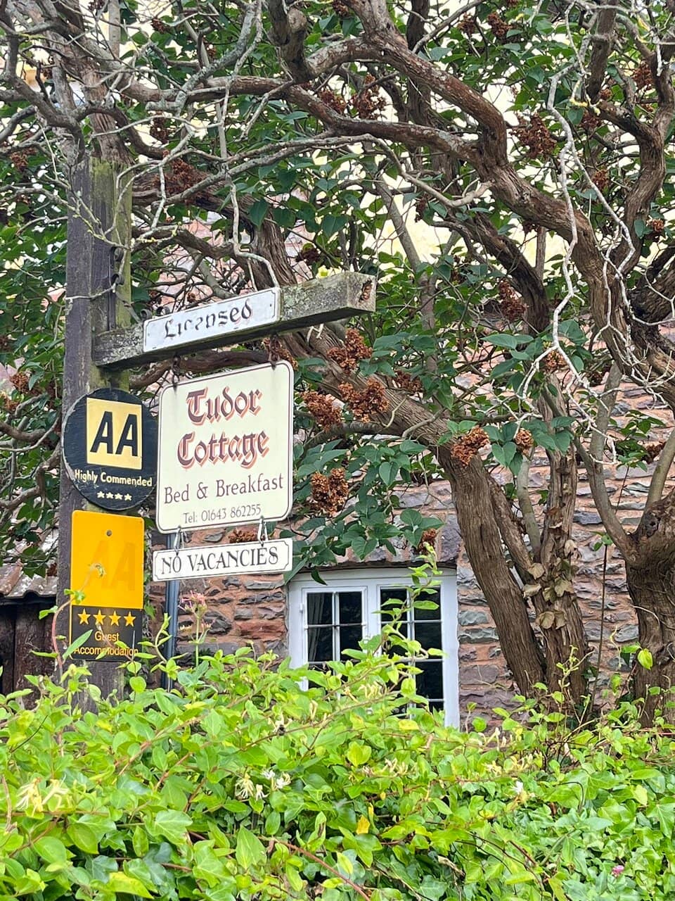 Panoramic Bristol Channel Views