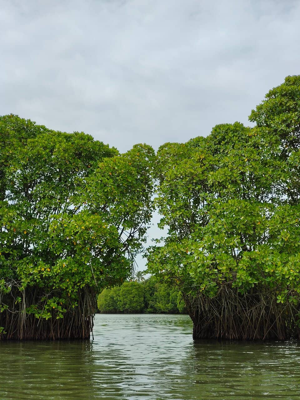 Country Boating Ride