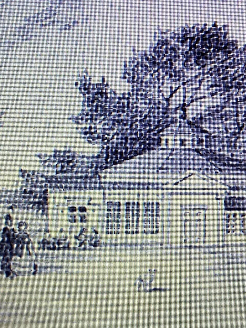 Playground & Skate Ramp