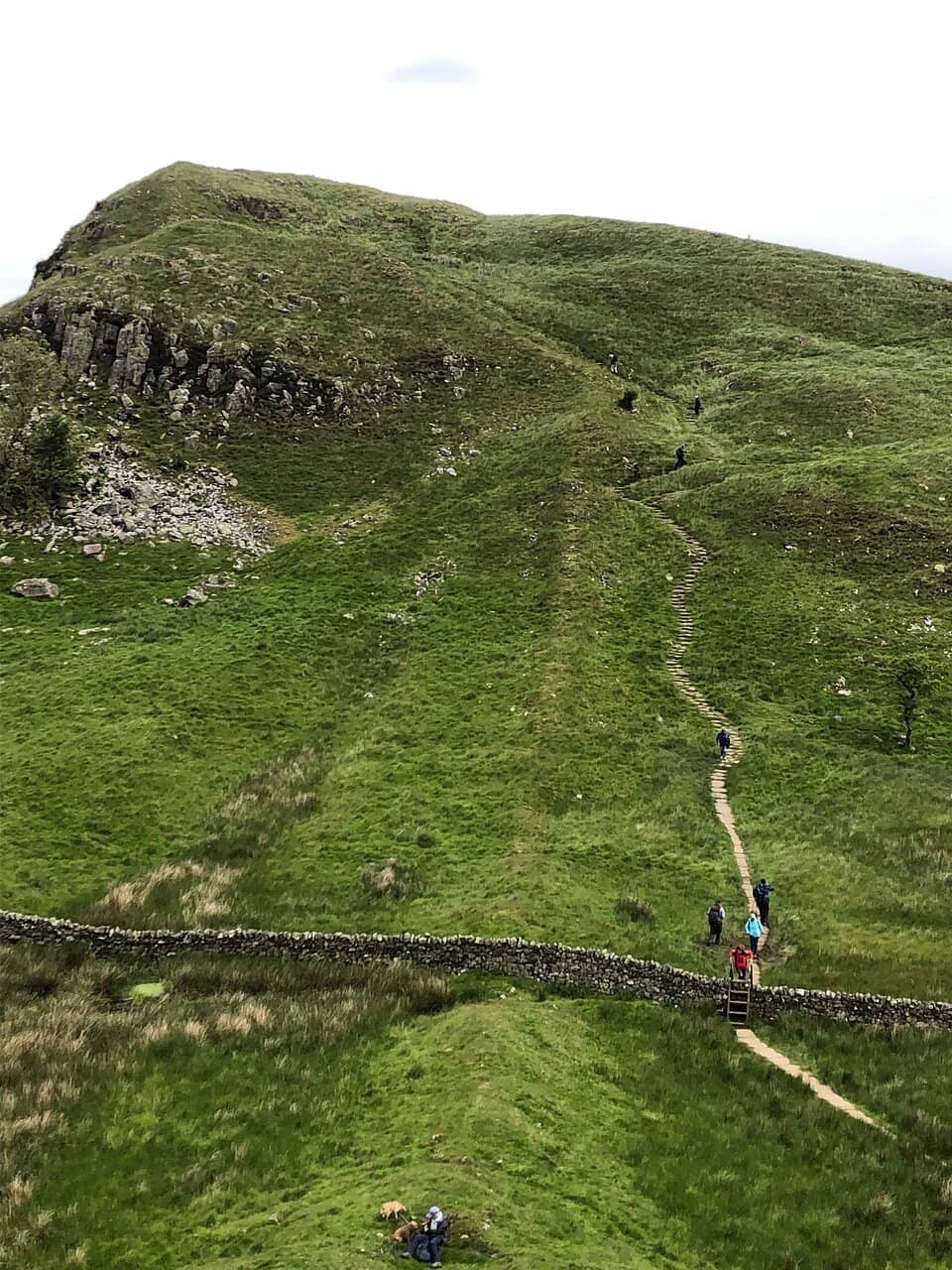 Steel Rigg