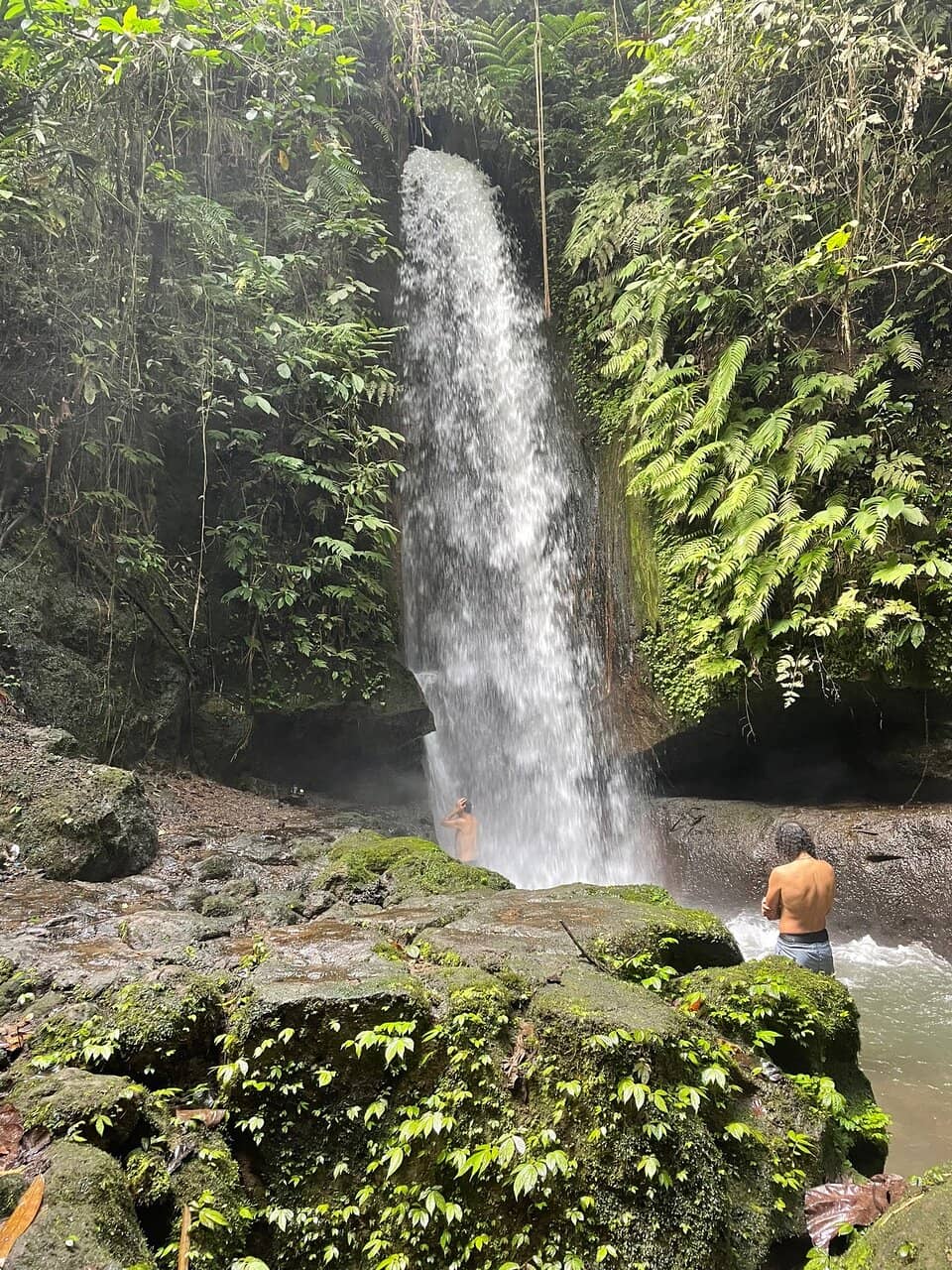 Scenic Jungle Trek