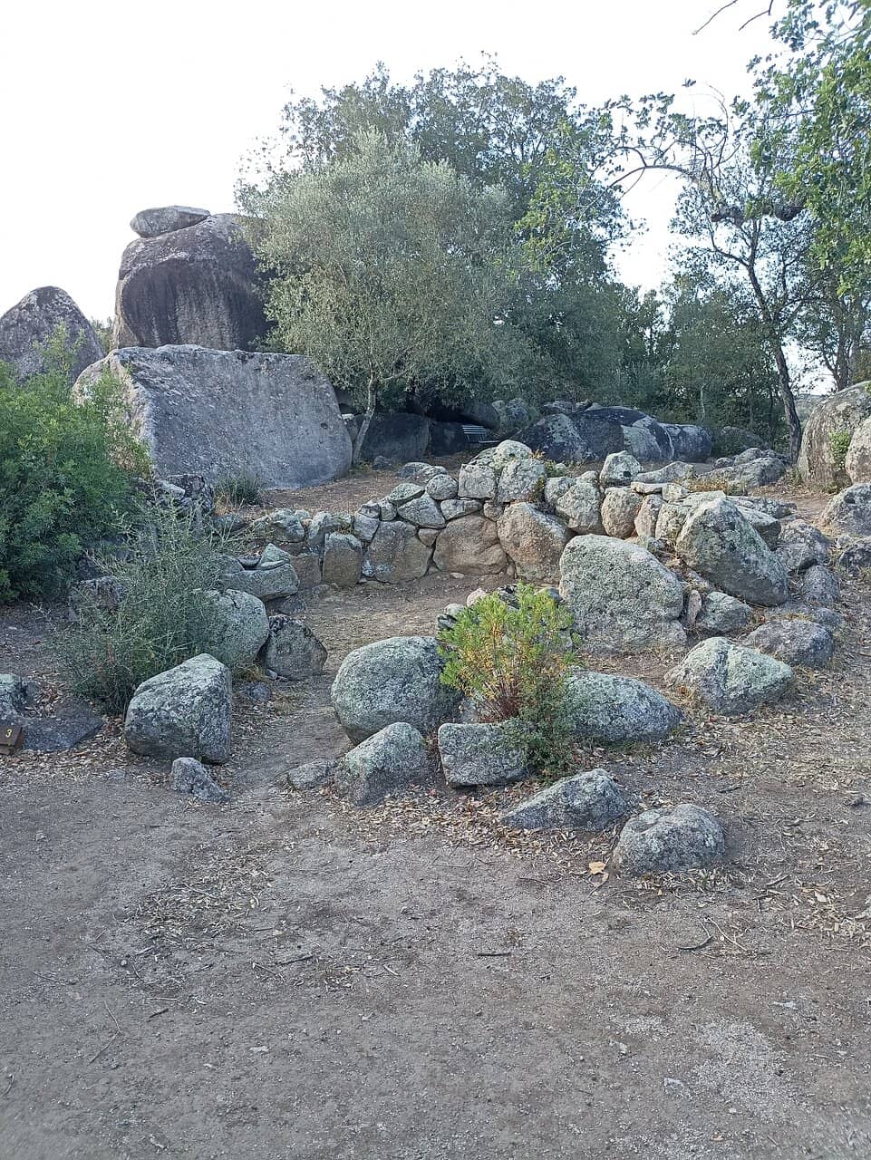 Passionate Local Guides