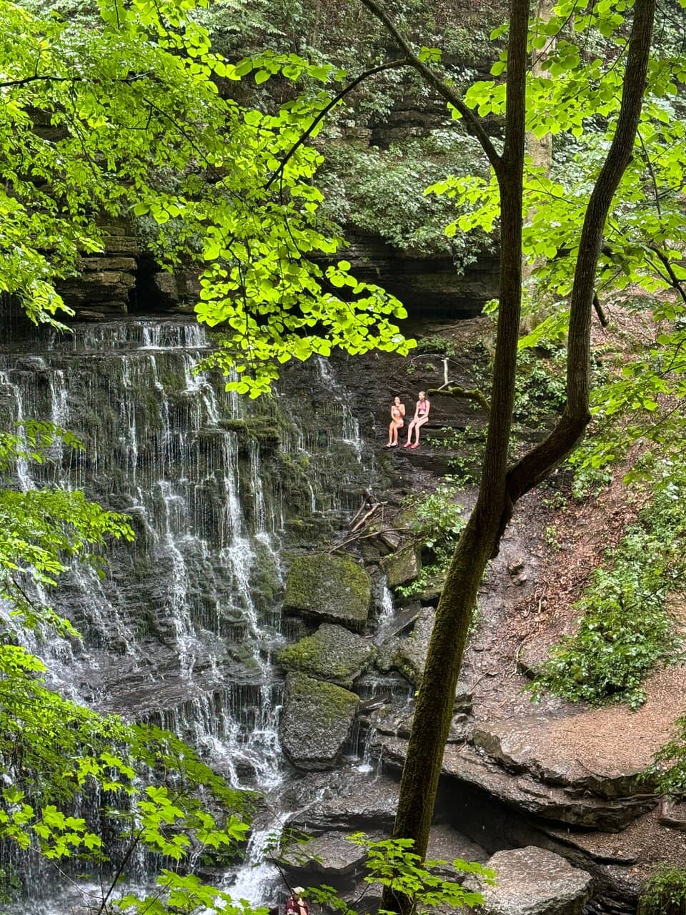 Scenic Waterfall Hike