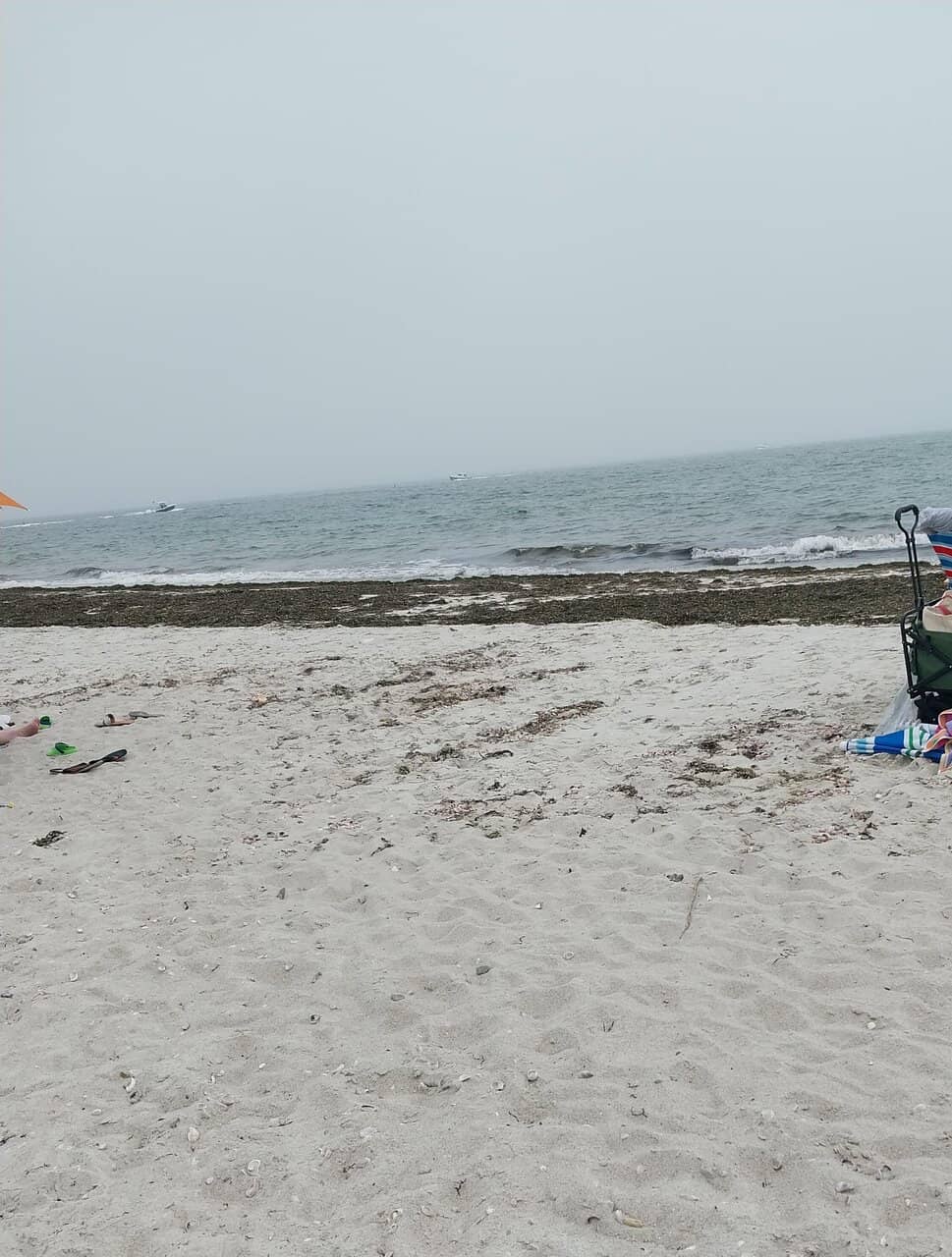 Sandy Shores and Shell Hunting