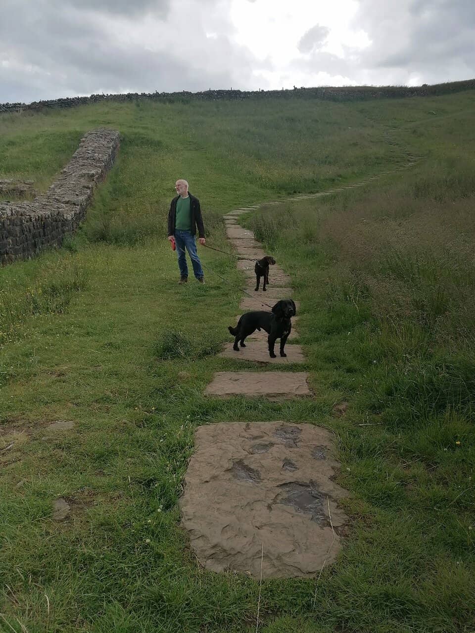 Vindolanda Roman Fort & Museum