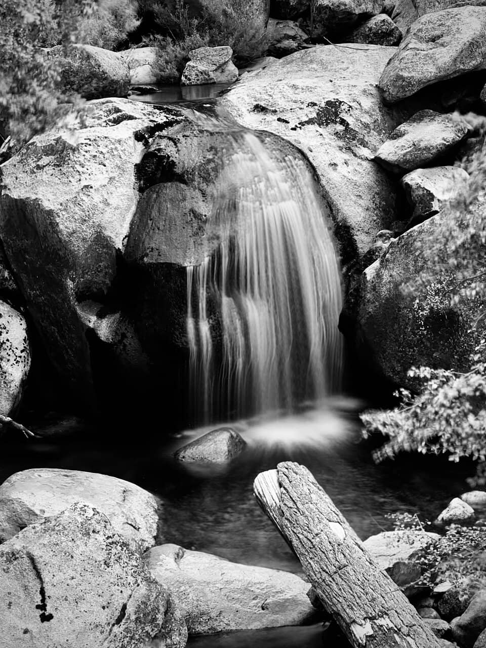 Photography Books & Souvenirs