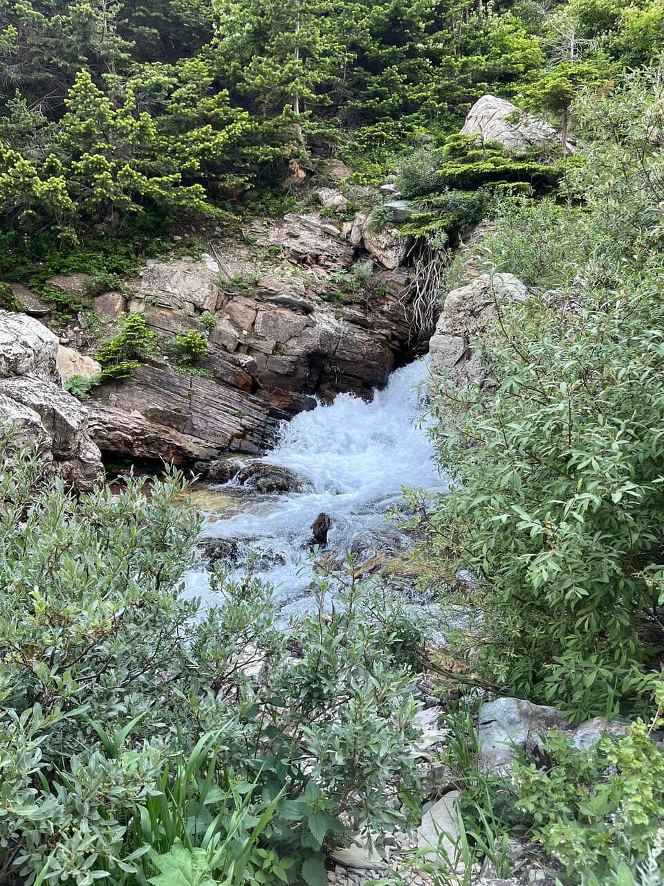 Vertical photo