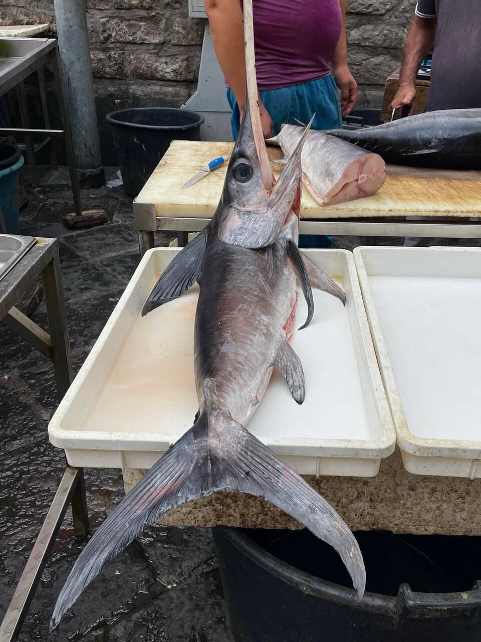 A Slice of Sicilian Life