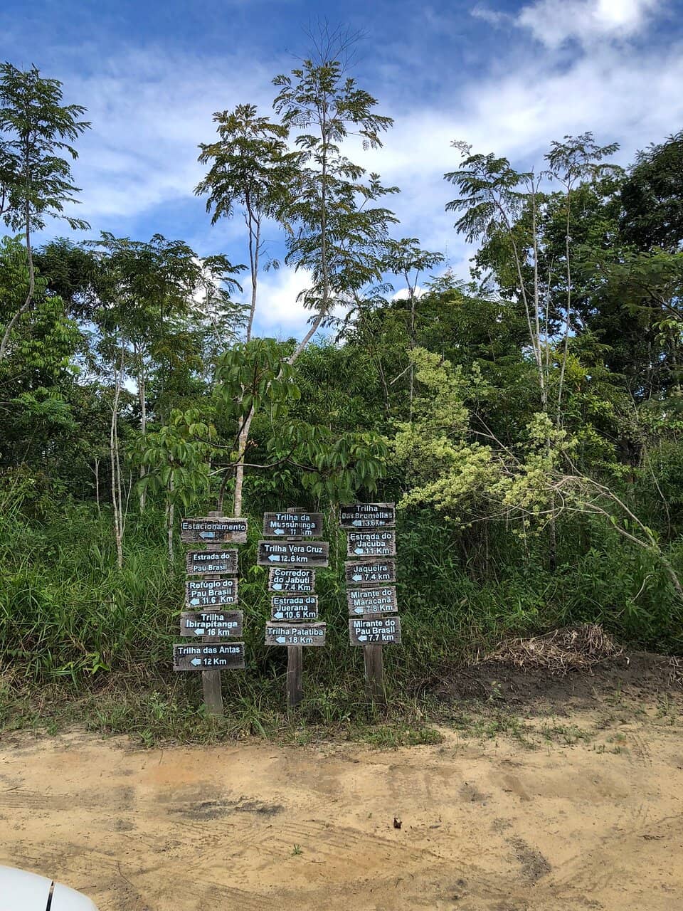 Ibirapitanga Trail