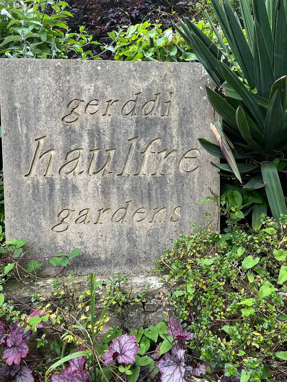 Encountering the Local Goats