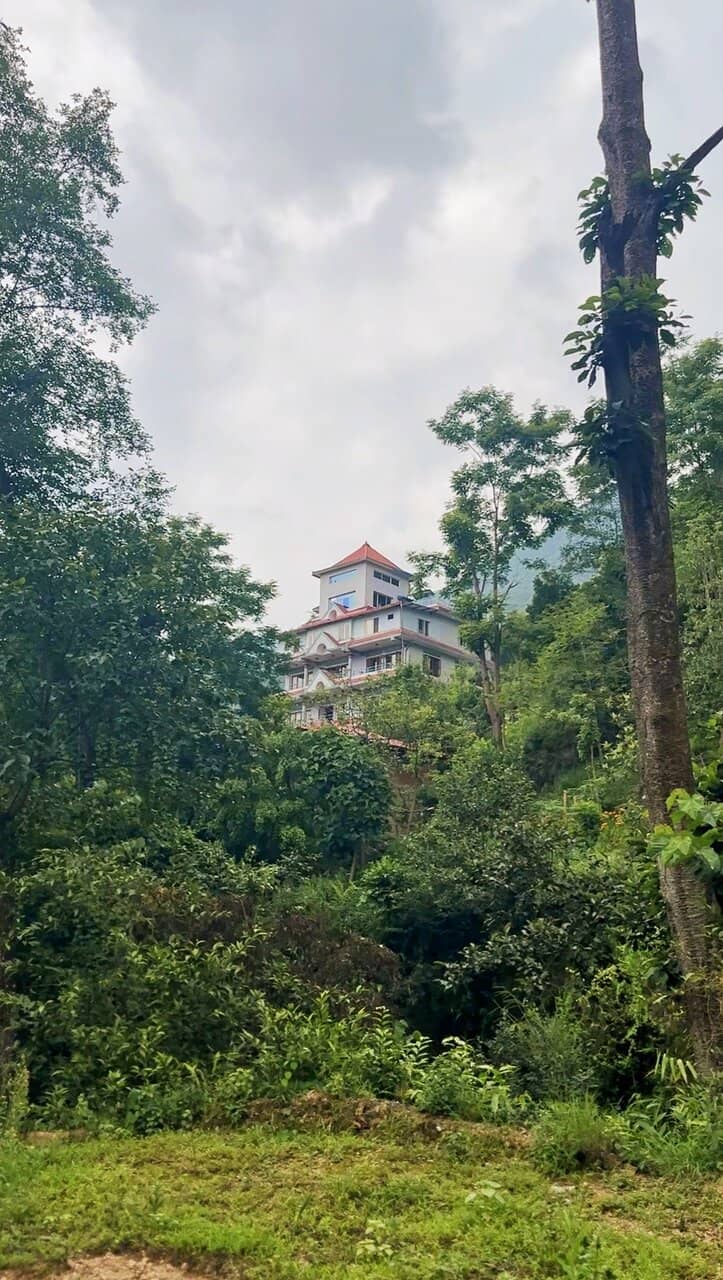 Local Flora and Fauna