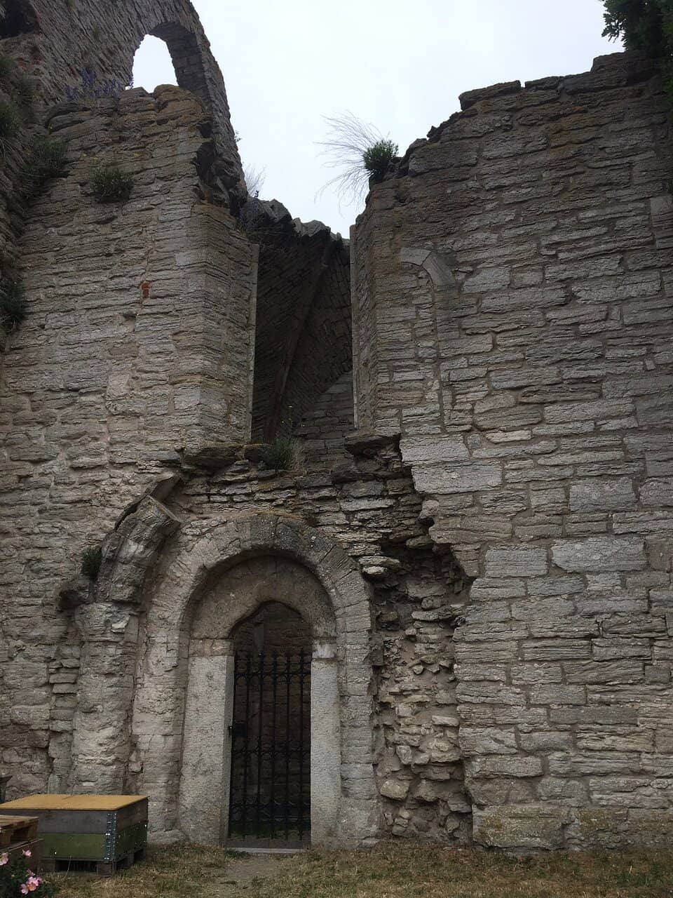 Vertical photo
