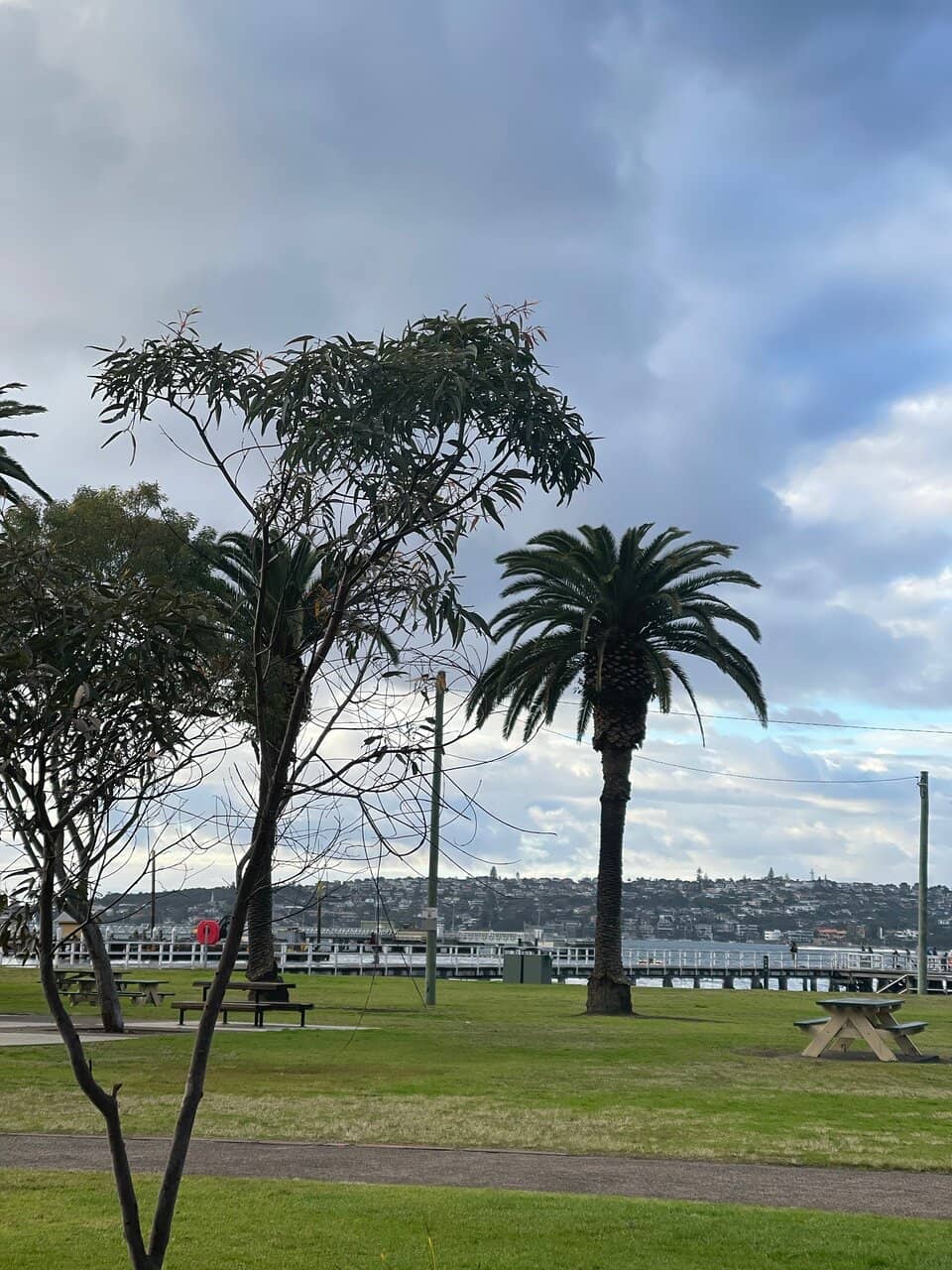 Harbour Views & Walks